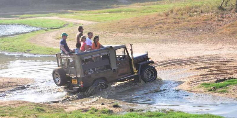 yala-safari-private-from-yala-tissamaharama-area