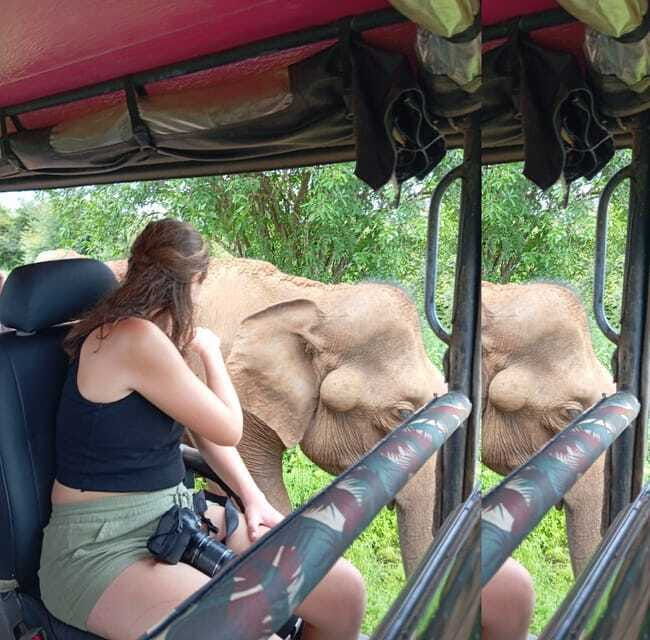 yala-udawalawe-safari-elephant-home-lifetime-experience