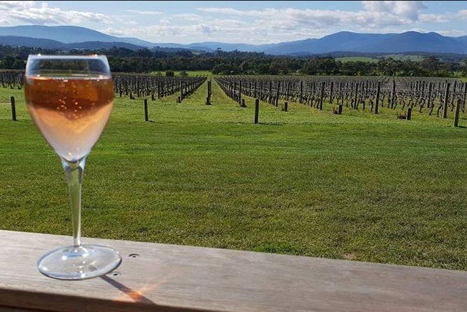 Yarra Valley: 7 Hours Guided Wine Tour with 2-Course Lunch - Key Points