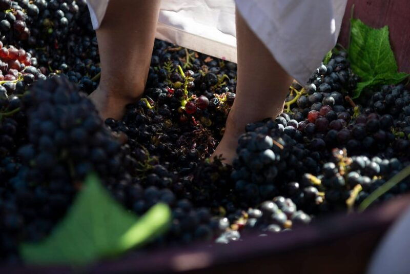 yerevan-khor-virap-day-trip-with-mount-ararat-wine-tasting