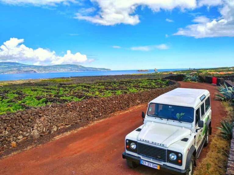1-day jeep tour on the island of Pico - Azores - Final Thoughts: Who Will Love This Tour?