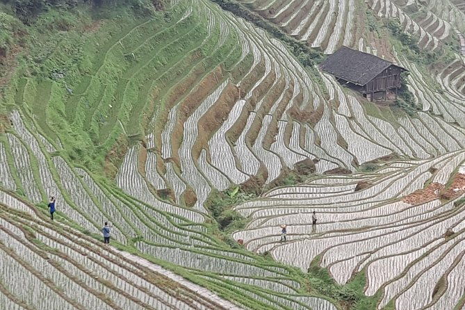 1-Day Longji Terrace Fields-Dazhai village Tour with the English Speaking Driver - The Itinerary in Detail