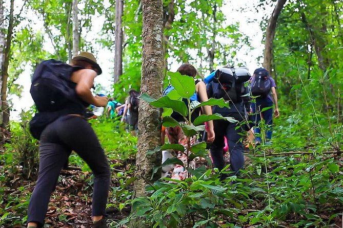 1 day private eco-trekking at Mae Sa Pok - Key Points