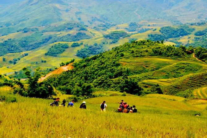 1 day Private tour Sapa trekking Y Linh Ho - Lao Chai - Ta Van (start from Sapa) - Key Points