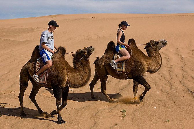1 Day Semi-Gobi All-included tour - Key Points