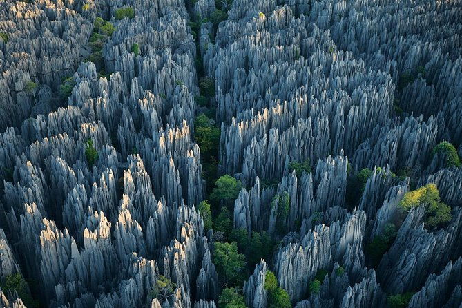 1 Day Stone Forest & Jiuxiang Cave Tour - Key Points
