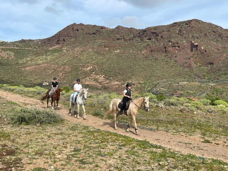 1 hour relaxing horse riding tour in Gran Canaria - Pricing and Overall Value