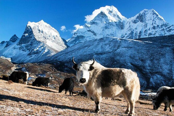 10 Days Everest Base Camp Trek - Key Points
