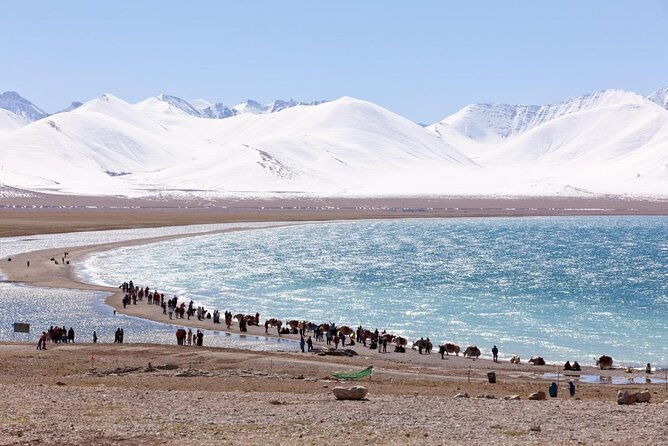 10 Days Tibet Everest Base Camp and Namtso Small Group Tour - Key Points