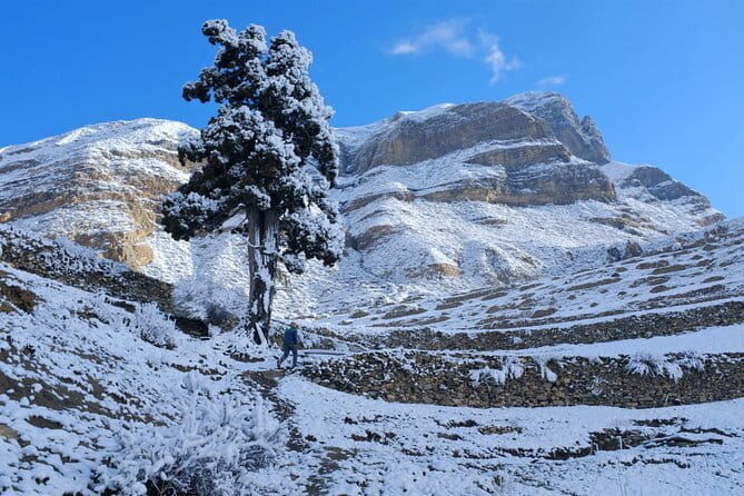 15 Days Round Annapurna Trek with Poon Hill from Pokhara - Introducing the Annapurna Circuit Trek Experience