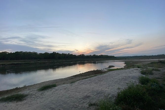 1 Night 2 Days Chitwan Jungle Safari Tour - Exploring the Itinerary in Detail