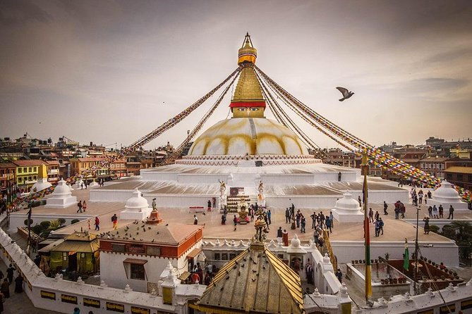 10 - Days Private Golden Triangle Tour with Kathmandu - Transportation & Logistics