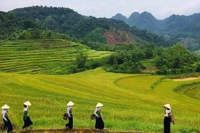 15-Day Vietnam Itinerary All in One | Travel Package 2025-2026 - What the Tour Does Well