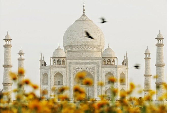 2 nights 3 days trip to Agra and Jaipur - How This Tour Adds Value