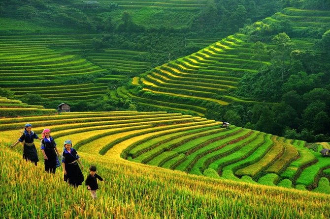 3-Night Sapa Trek and Homestay with Round Trip Transfer from Hanoi - In-Depth Look at the Itinerary