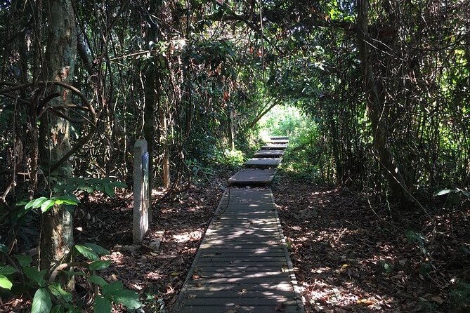 4-Day Jungle Experience in Taman Negara from Kuala Lumpur - Authentic Tips and Insights from Reviewers