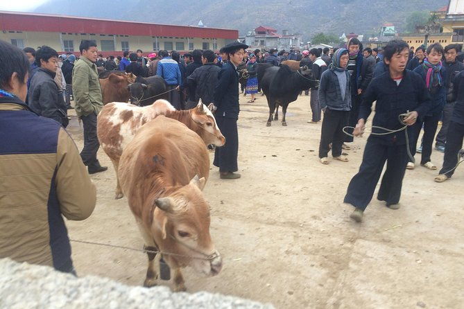 8-Day Off The Beaten Path In North Vietnam - Practical Details & Tips