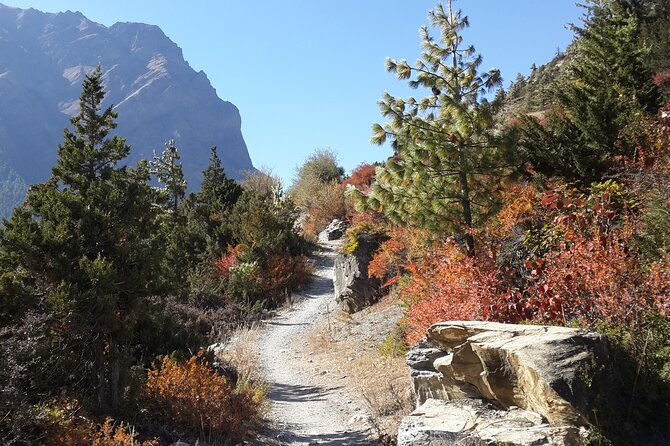 8 Days Short Trek and Tour in Nepal - Why This Tour Offers Genuine Value