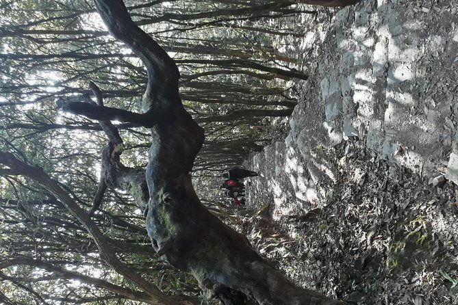 A day hike from Kathmandu to Bagadwaar - Journey Through the Heart of Kathmandu’s Green Escape