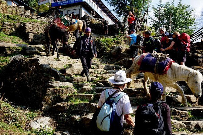 Annapurna Base Camp trek - Transportation and Logistics