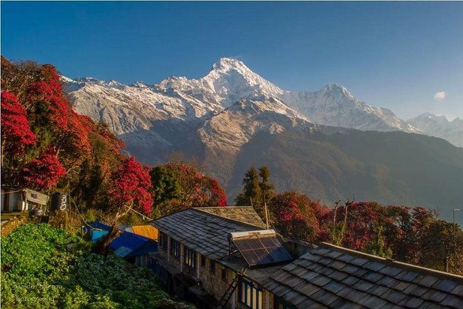 Annapurna Base Camp Trek and Chitwan Excursion - The Trekking Experience: Annapurna Base Camp & Surroundings