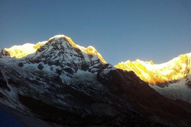 Annapurna Base Camp Trekking - What Traveler Reviews Reveal