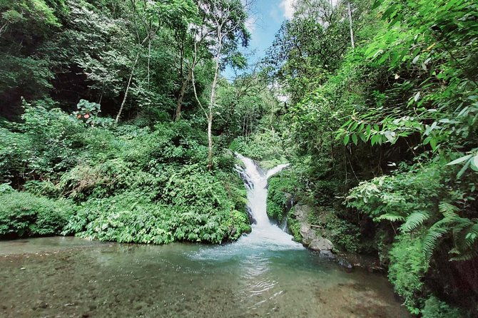 Bali Most Scenic Waterfalls Trekking - Who Will Love This Tour?