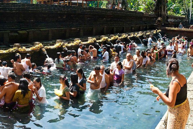 Bali Ubud and Volcano Day Tours - The Value of This Tour