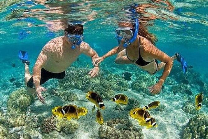 Blue Lagoon Snorkeling and Lunch with Visit Tegenungn Waterfall in Ubud - Authentic Insights from Reviewers