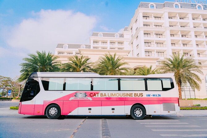 Bus Ha Noi to Cat Ba island - Key Points