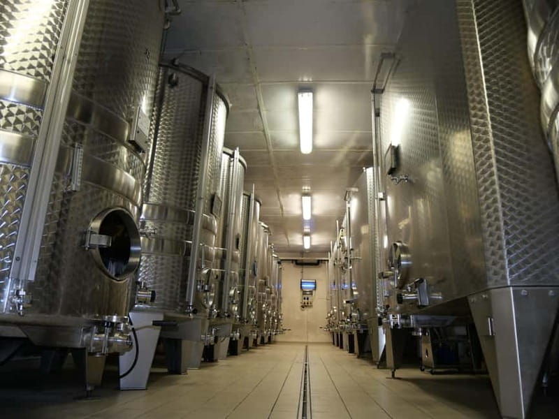 Chablis: Tour and tasting Family-run winery - An Authentic Visit to a Family-Run Chablis Winery