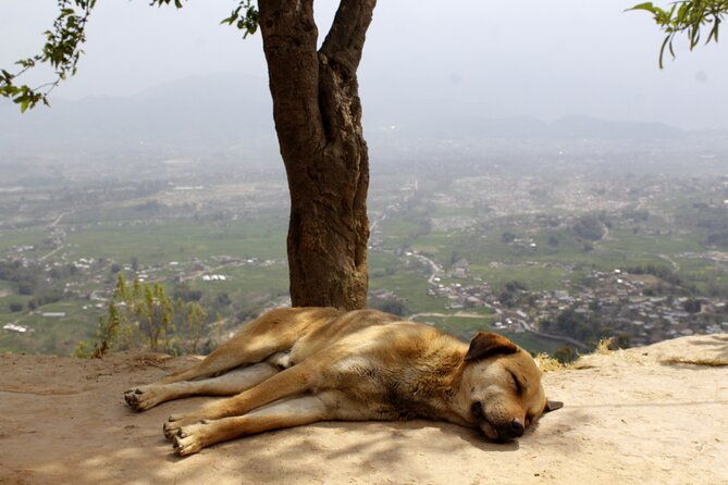Changunarayan Hill to Telkot Hike Near Kathmandu Day Tour - The Experience: A Step-by-Step Breakdown