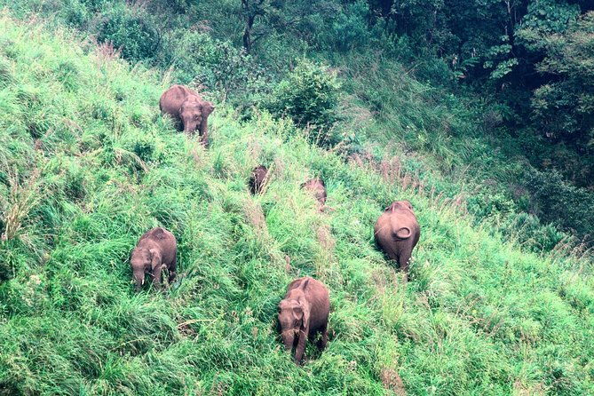 Classical Rajasthan Tour - Who Will Love This Tour?