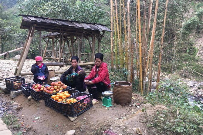 Colors of Sapa - Vietnam 2 Days Tour - An In-Depth Look at the Tour Experience