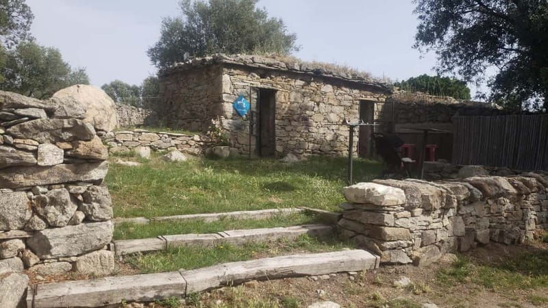 Corsica: Organic wine tasting
