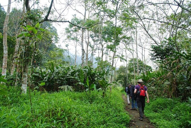Cuc Phuong National Park Private Day Tour: Trekking & Primates - Why This Tour Offers Great Value