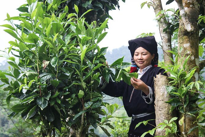 Da Bac Discovery trek and tour 2D1N - Analyzing the Cost and Value