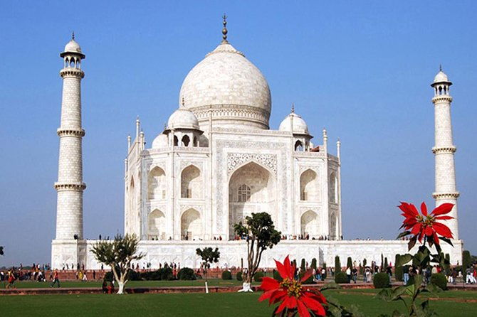 Delhi and Agra Private Combo Tour from Delhi - Detailed Review of the Delhi and Agra Private Tour
