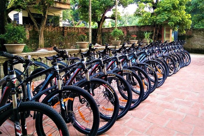 Discover Trang An Natural World Heritage, Bich Dong Pagoda, Cycling Day Tour - Who Is This Tour Best For?