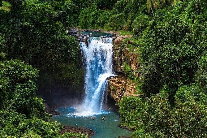 Discover Ubud: Exotism Ubud and Optional Meet the Bali Shaman - An In-Depth Look at the Ubud Day Tour