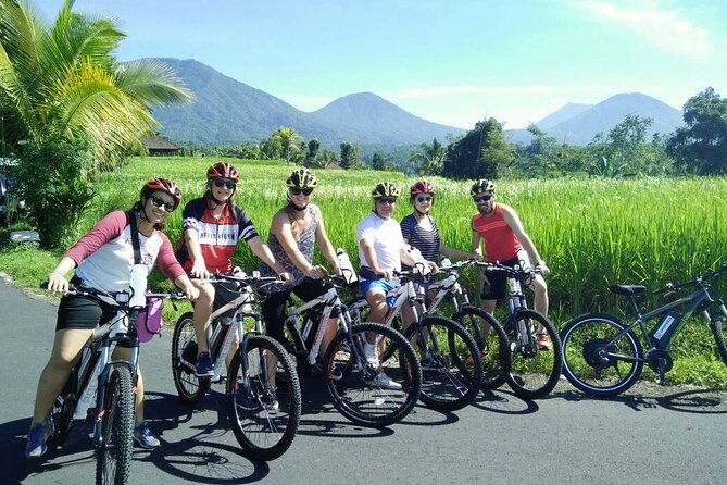 Electric bicycle tour in Jatiluwih UNESCO site - Discovering Bali’s Rice Terraces on Two Wheels