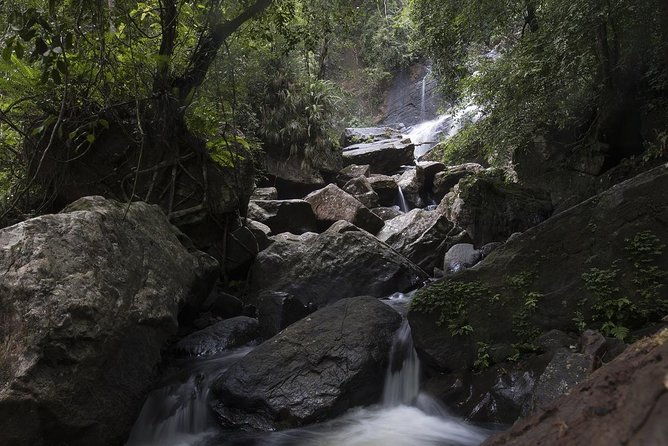 'Explore Sinharaja' rainforest - Discovery Tour (half day) - Why This Tour Offers Great Value
