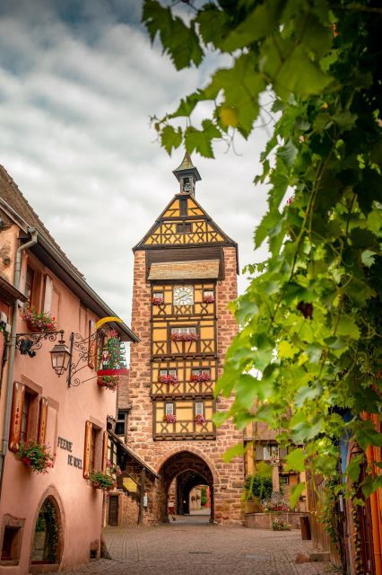 From Colmar: Alsace wine route tour Full Day