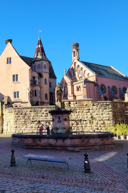 From Colmar: Alsace wine route tour Half Day