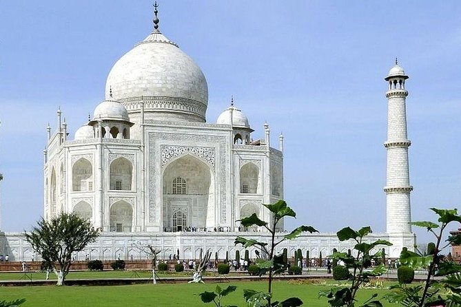 From Delhi : Tajmahal Sunrise tour with Agra fort, Baby Taj, Meal - A Detailed Look at the Tour Experience