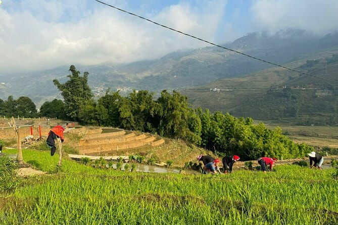 From Hà Ni ; Mu Cang Chai 3 Days 2 Nights By Car and Trekking - Exploring Mu Cang Chai: An Adventure in Mountainous Beauty