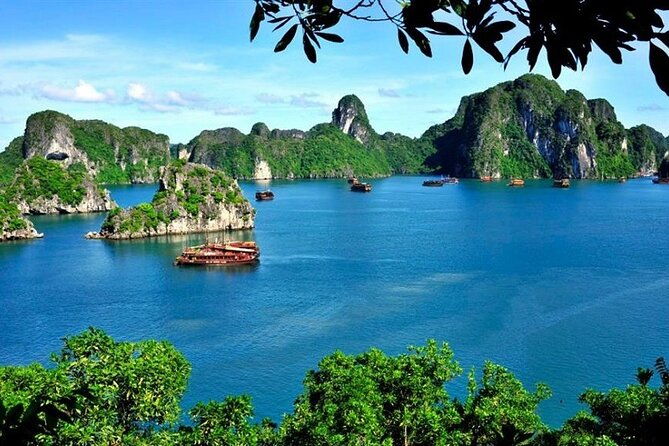 From Hanoi: Ha Long Bay Day tour 4-Star with Kayaking - A Complete Look at the Tour Experience