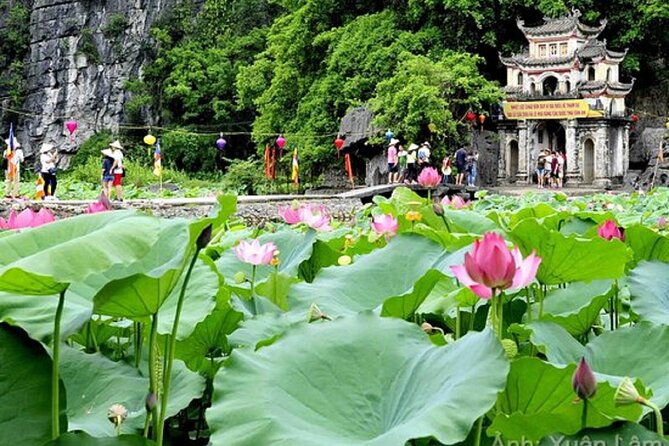 From Hanoi: Hoa Lu, Tam Coc, and Mua Cave Scenic Day Trip - Key Points