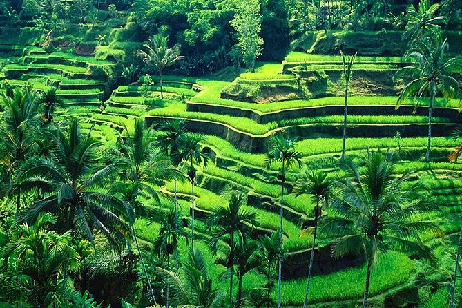 Full-Day in Bali: Amazing Ubud Tour - Exploring Bali’s Cultural Heritage at Puseh Batuan Temple