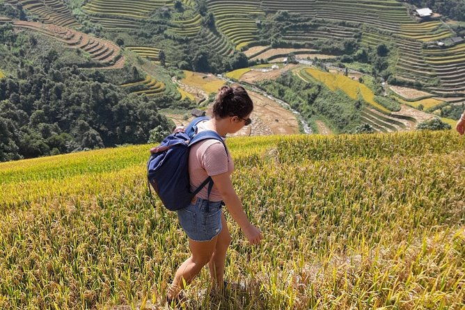 Full Day Trekking Mu Cang Chai - Key Points
